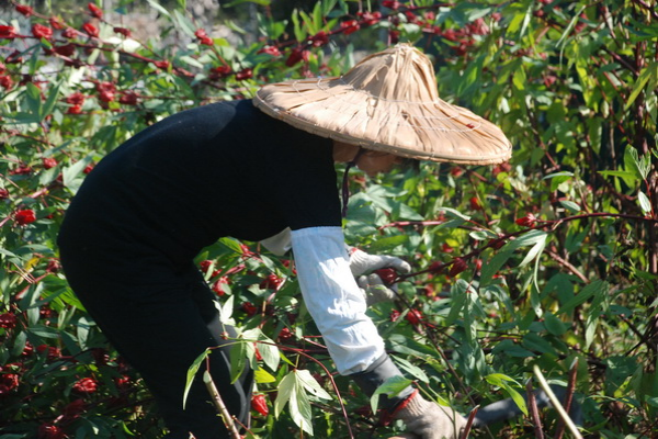 活動照片