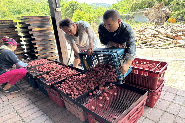 活動照片